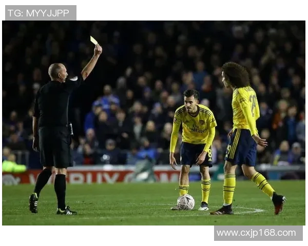 英格兰与俄罗斯比赛中黄牌争议分析及影响探讨